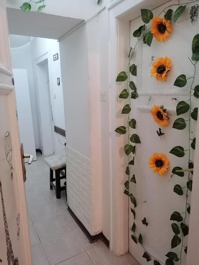 Low Cost Apartment Bělehrad Exteriér fotografie