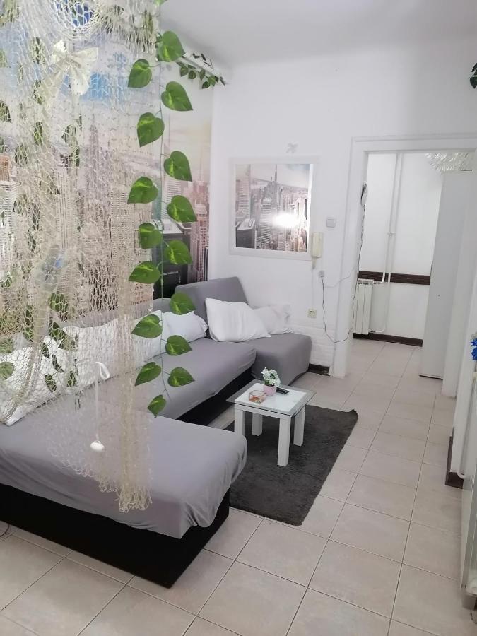 Low Cost Apartment Bělehrad Exteriér fotografie